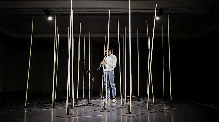 Audio Reactive Artistry - AURA / Concert Art Installation